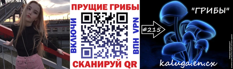 Купить закладки Пошехонье Псилоцибиновые грибы GOLDEN TEACHER